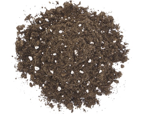 Vleesetende Plant Bodem Floragard 3 L