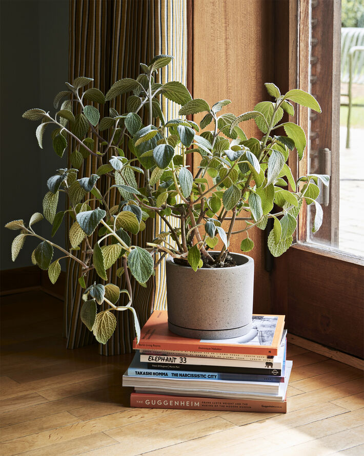 Hay Plant Pot with Saucer-Medium-Grey Grå