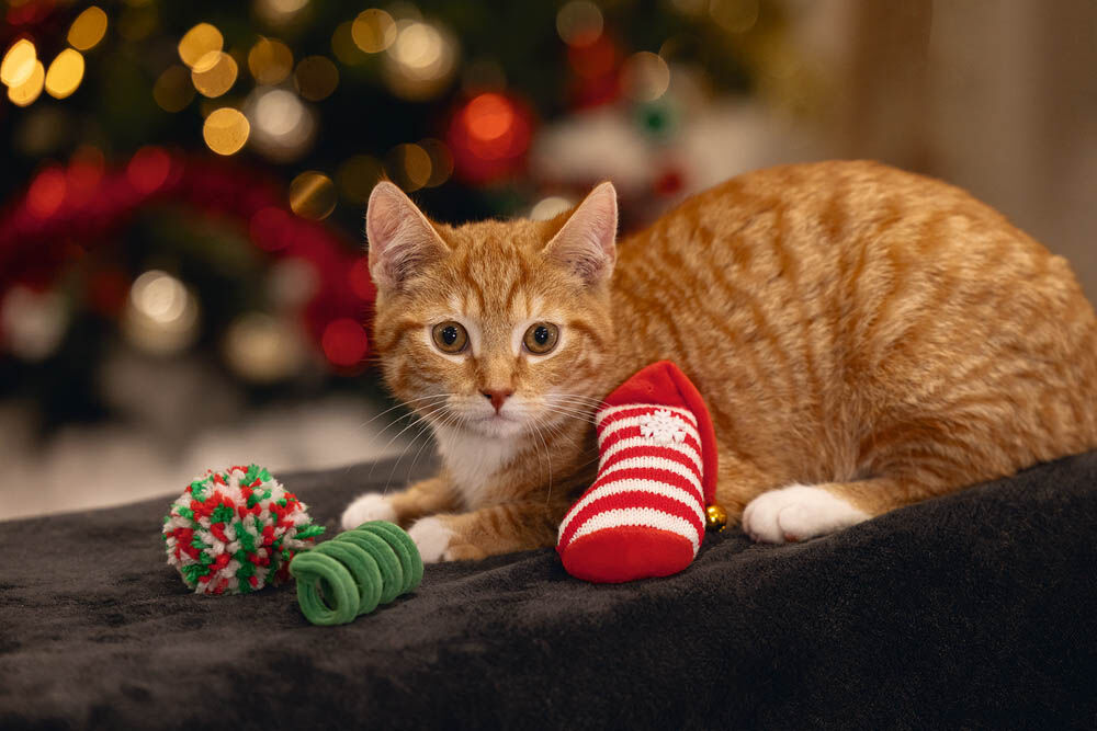 Beeztees Kerstfun - Kerst kattenspeeltje