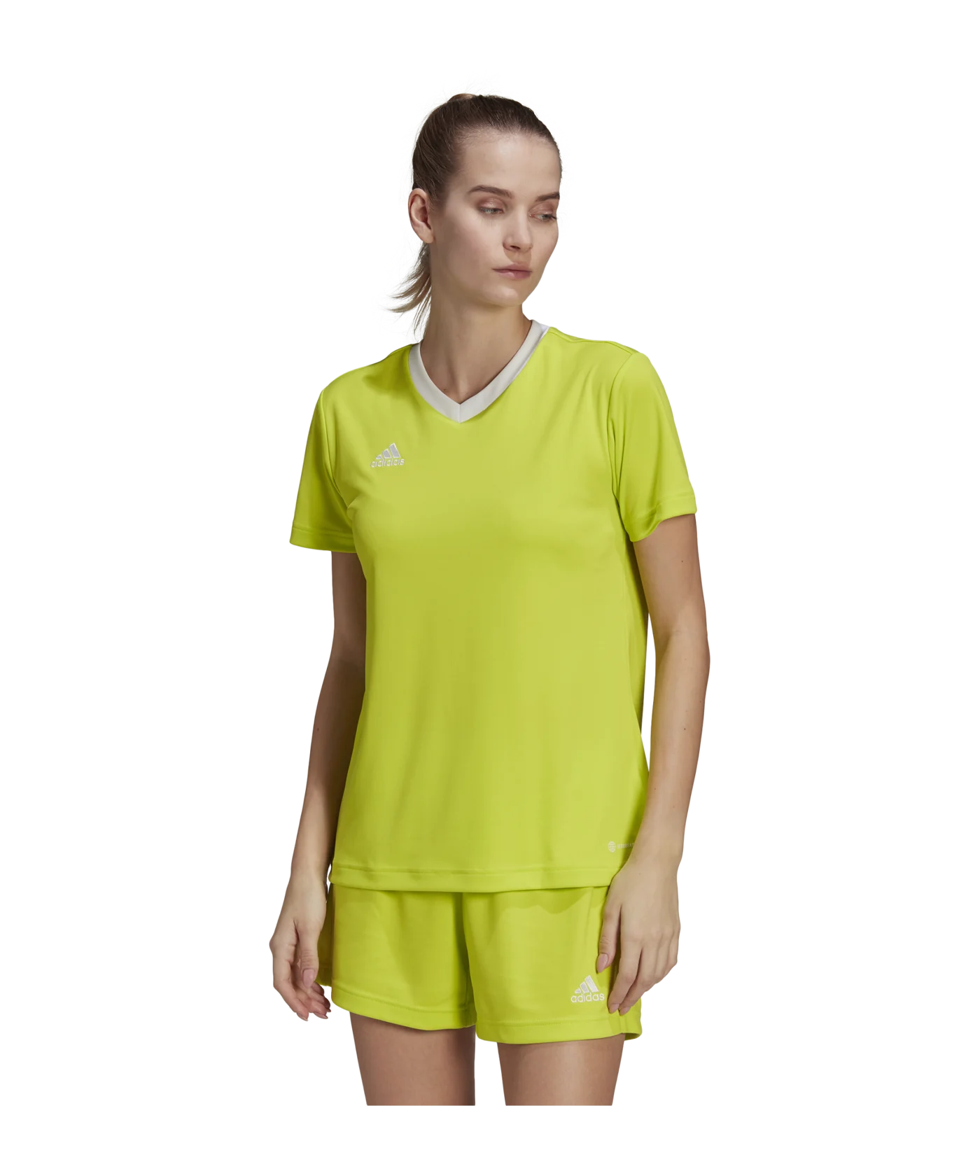 adidas Entrada 22 Trikot Damen Grün Weiss