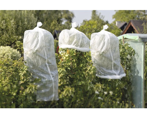 Milieuvriendelijke tomatenvliestube, tomatenmuts FloraSelf, 10 x 0,75 m, 18 g/m², wit