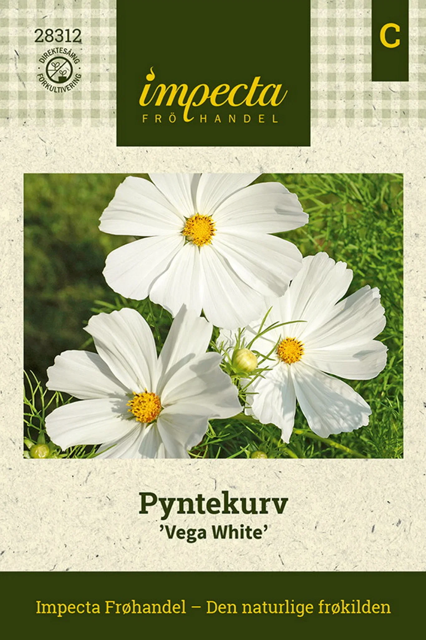 Cosmos bipinnatus 'Vega White' Pyntekurv 'Vega White'