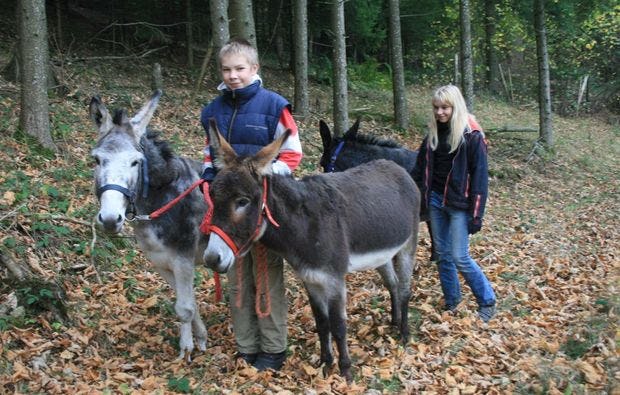 Esel-Trekking in Kollnburg als Geschenkidee