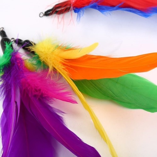 Espanador de penas de gato multicolorido