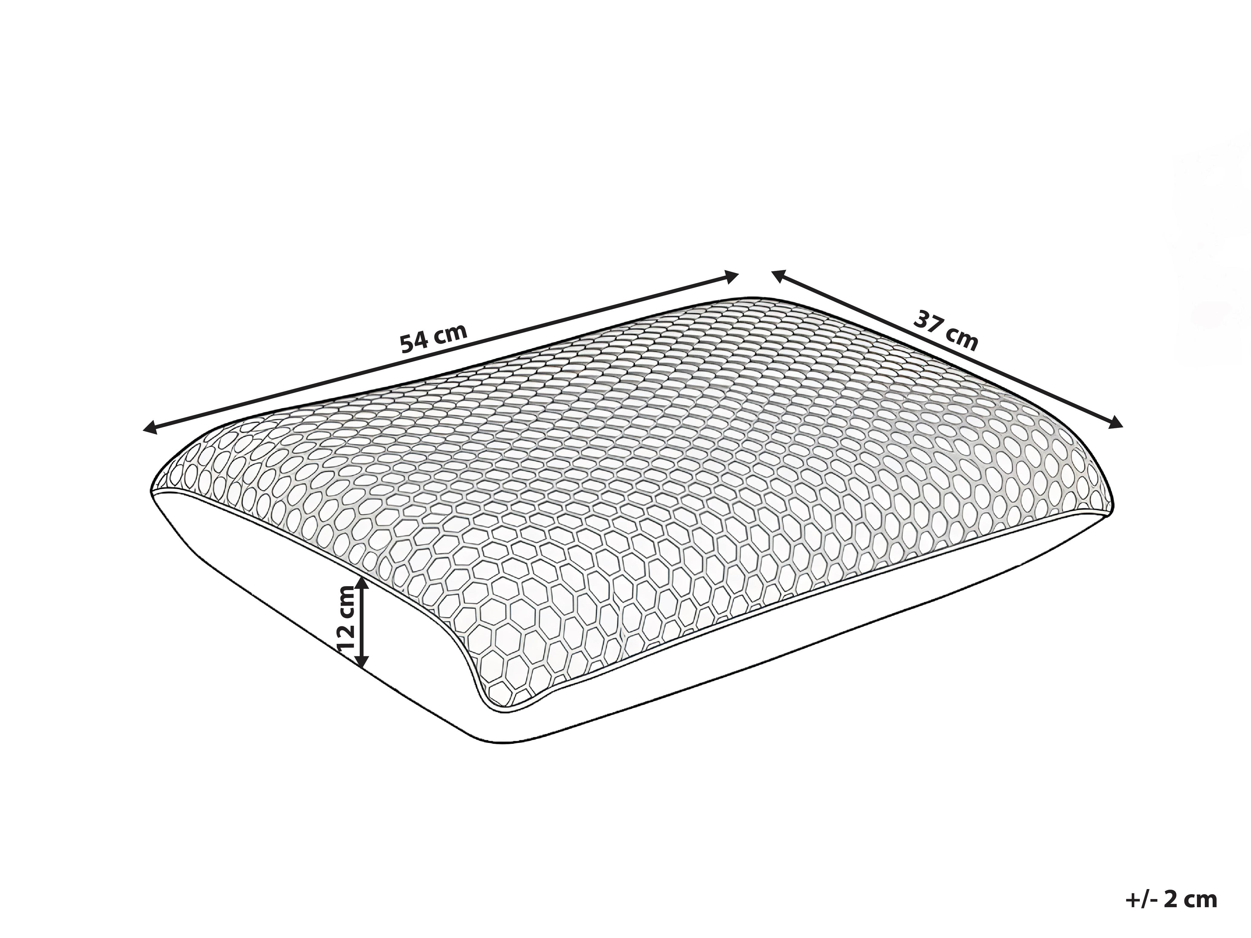 Hoofdkussen ATHOS Laag Traagschuim 55 x 35 cm Paars