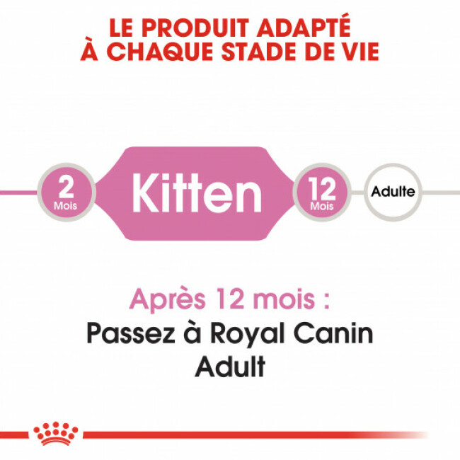 Croquettes pour chatons Royal Canin Kitten