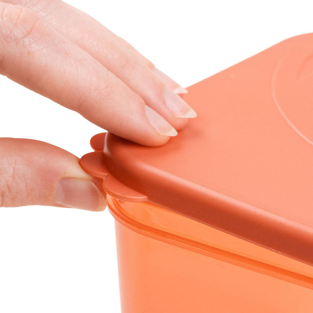 Food storage container set L Elphee Papaya