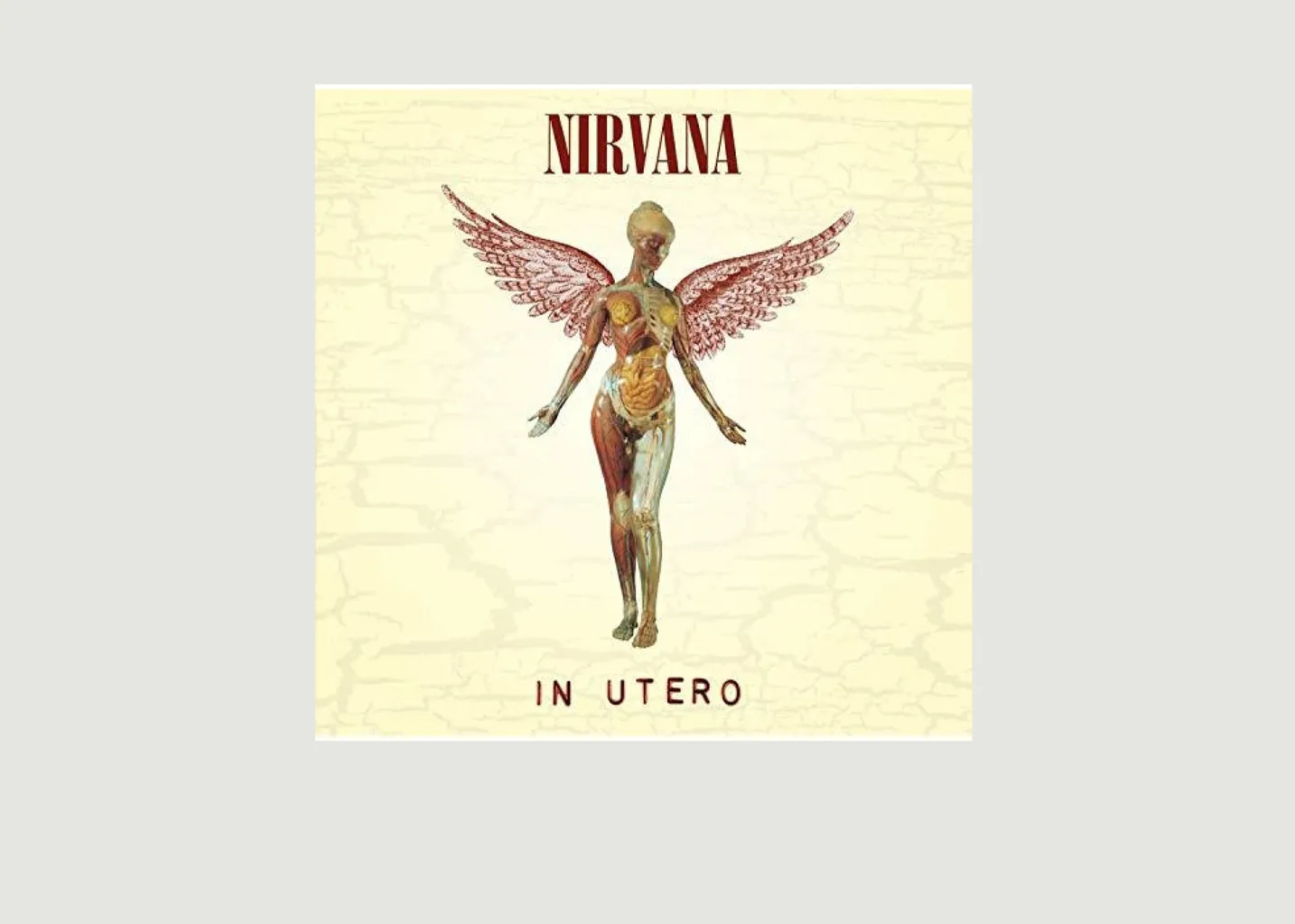 In Utero - Nirvana La vinyl-thèque idéale