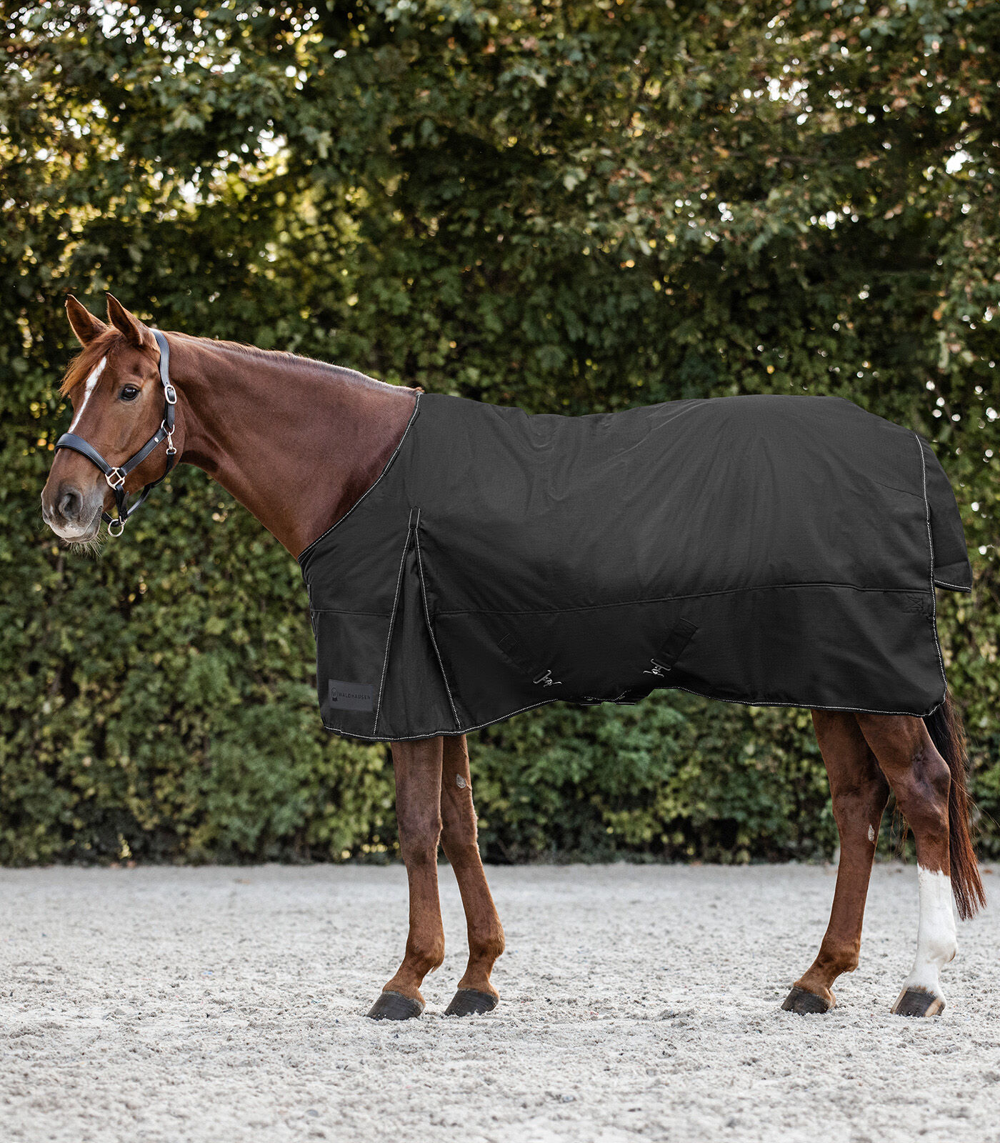 Waldhausen Nordic Fleece - Winterdeken - Paardendeken - Zwart - 95/145
