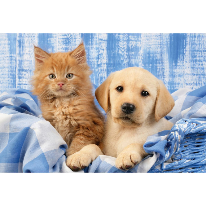 Puzzle Set - Meine liebsten Haustierbabys - 3 x 48 Teile