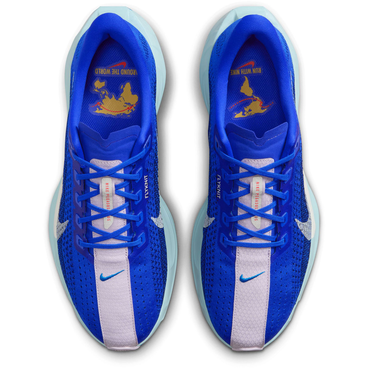 Nike Pegasus Plus CM Heren
