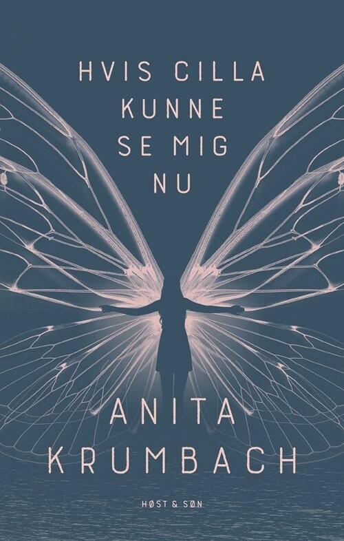 Hvis Cilla Kunne Se Mig Nu - Anita Krumbach - Bog