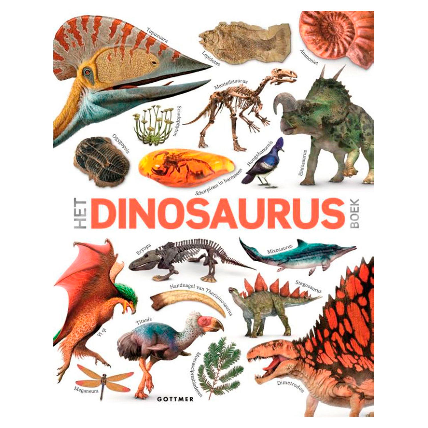 Het Dinosaurusboek