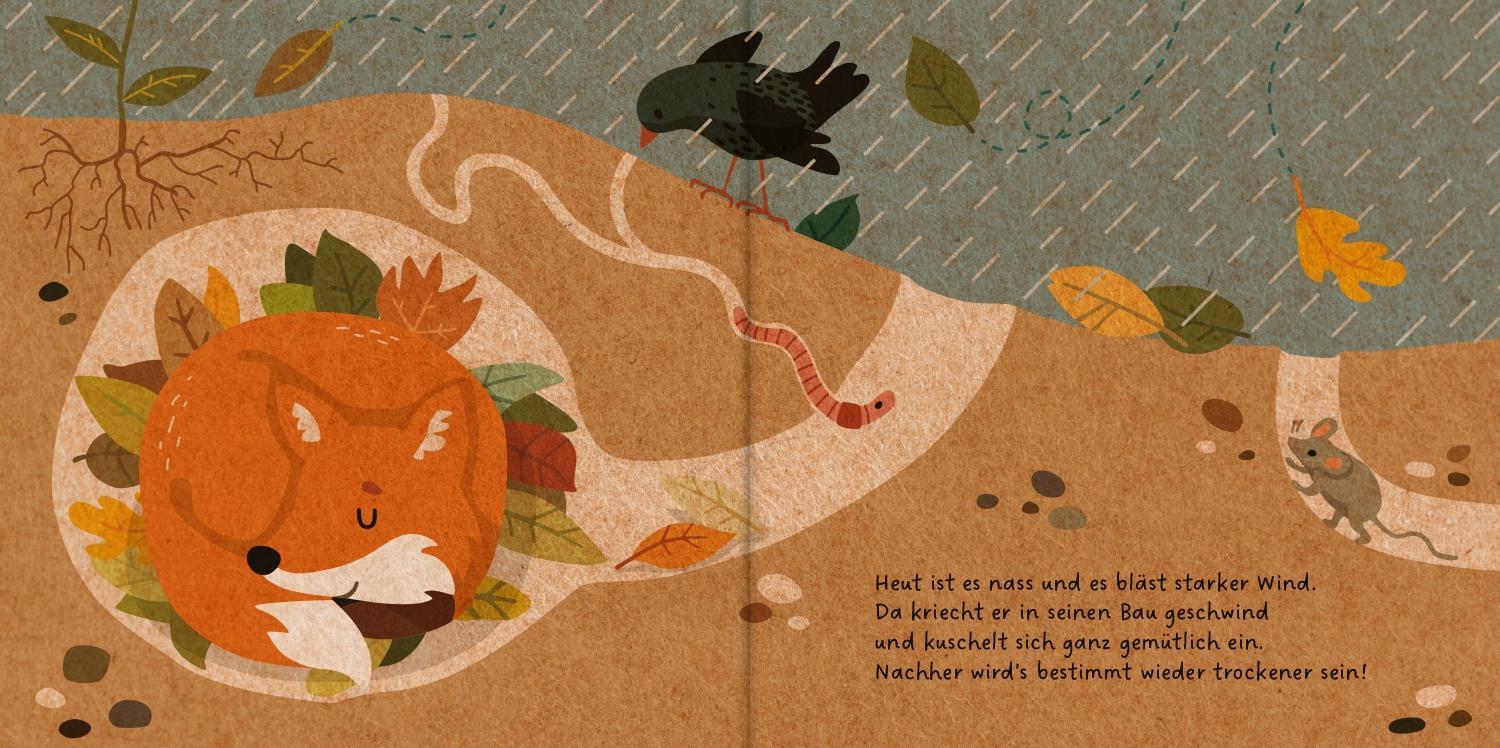 Der kleine Fuchs / Meine Waldfreunde Bd.2