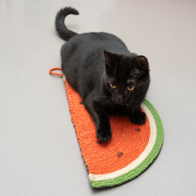 Tapis à griffer TIAKI Pastèque pour chat