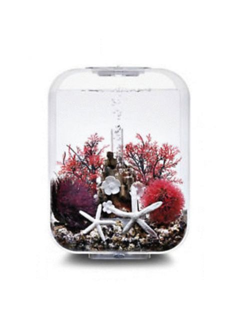 Biorb Easy Decor Kit - Aquarium - Ornament - 15 l Rood