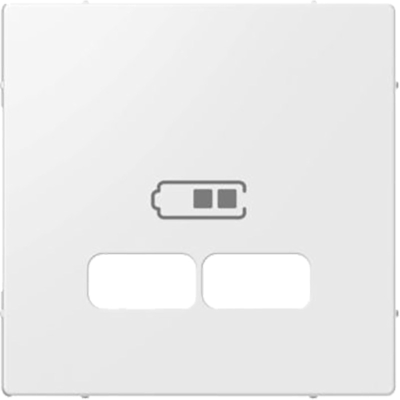 Schneider Electric Systeem-M centraalplaat USB Glanzend wit