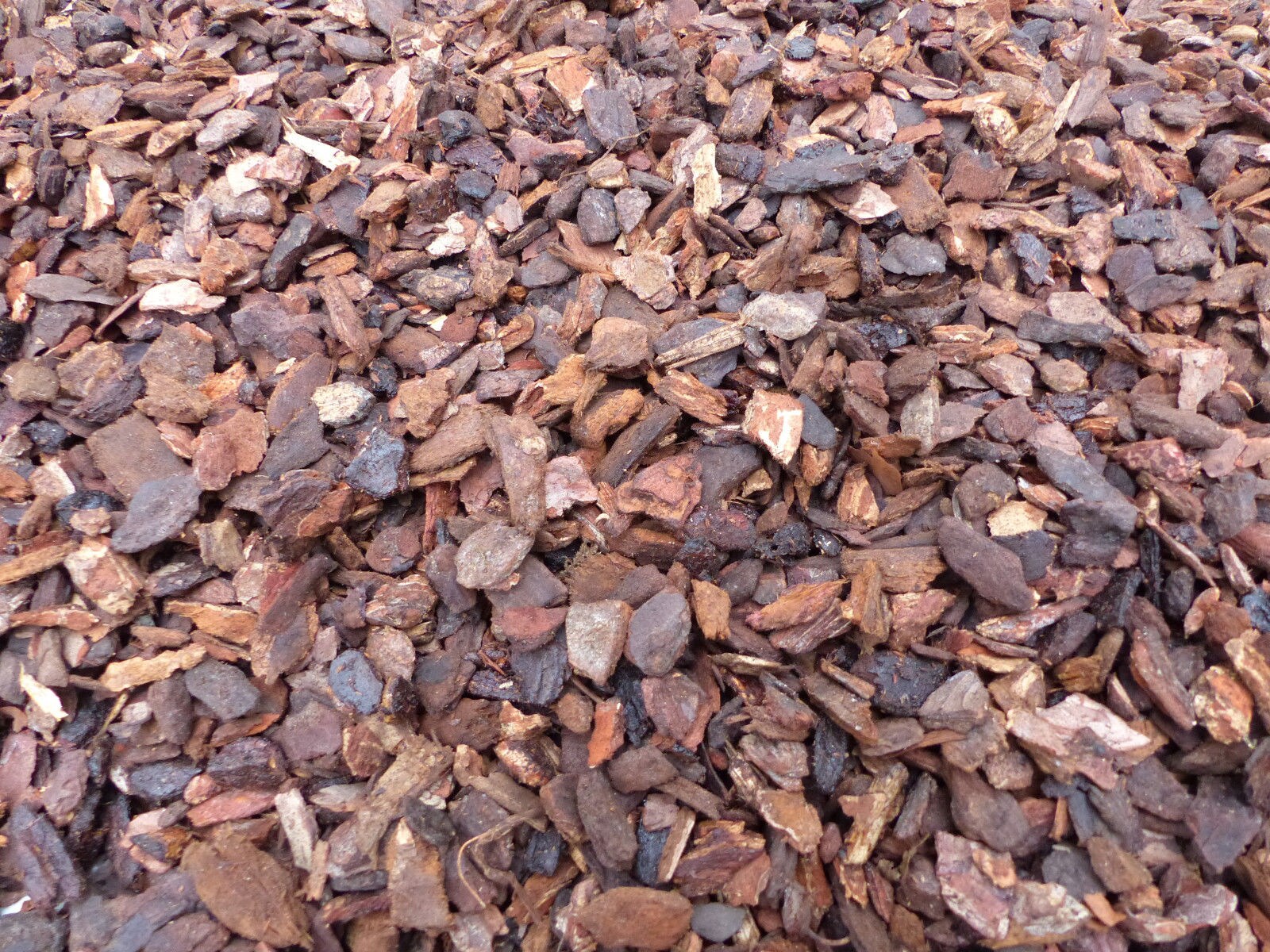 36 Sack: 70 Liter Premium Pinienrinde Bodengrund 20-40 mm 1 Palette