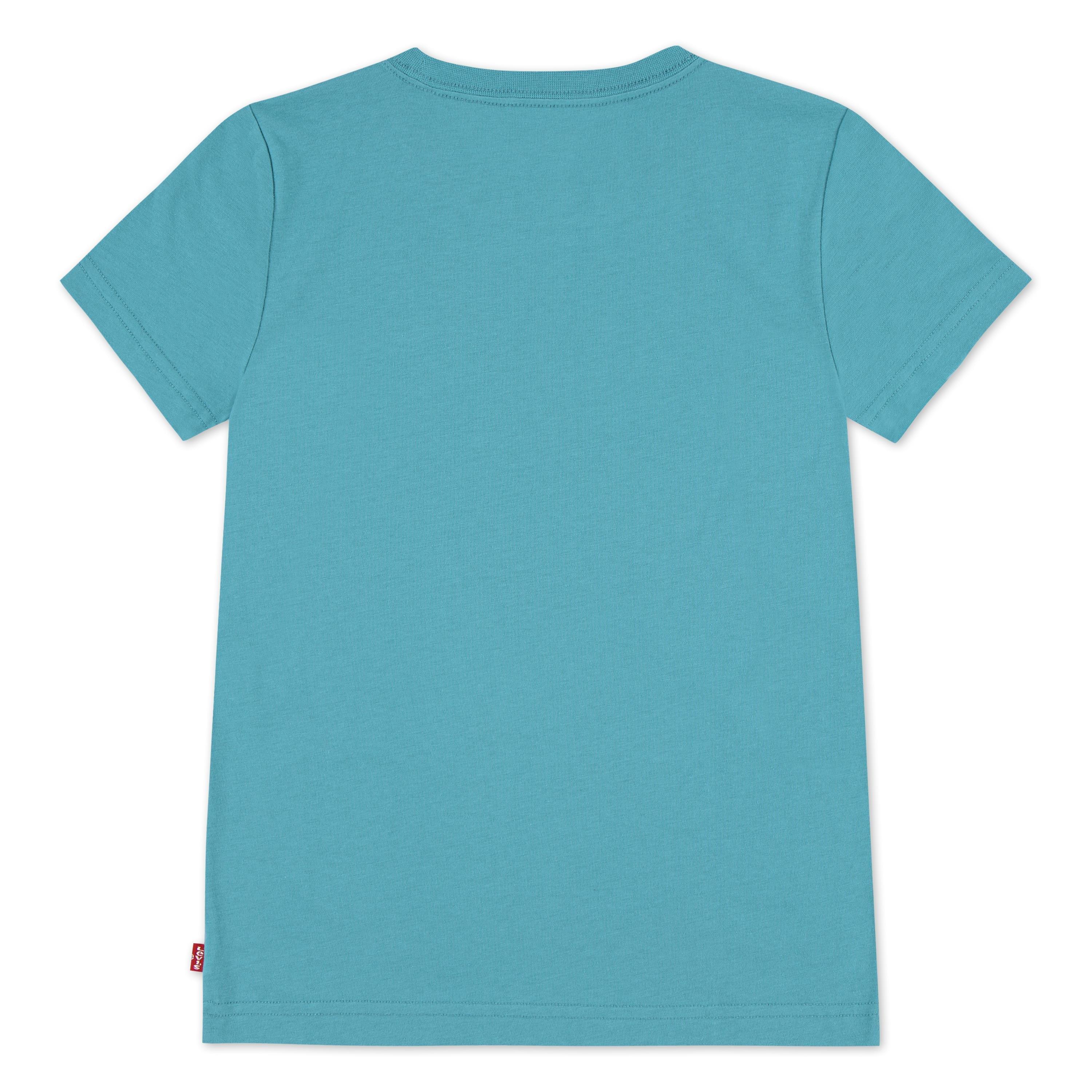 Levis Batwing T Shirt