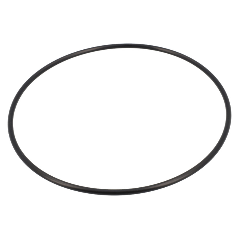 O-ring Pumphus