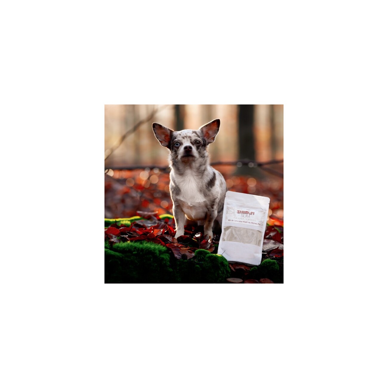 Marsapet Bellfor Shiimun Slim Pulver - 120g