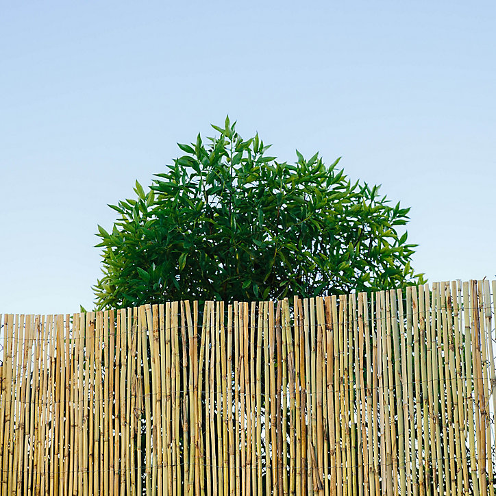 Brise-vue naturel paillon pelé 3 x h.1,8 m