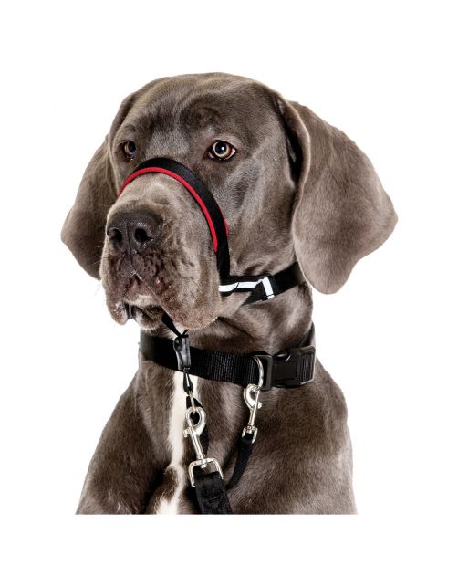 Halti Optifit Headcollar Zwart - Hondenopvoeding