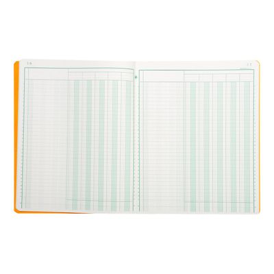 Exacompta - Piqûre comptable - 5 colonnes par page - 32 x 25 cm - 80 pages
