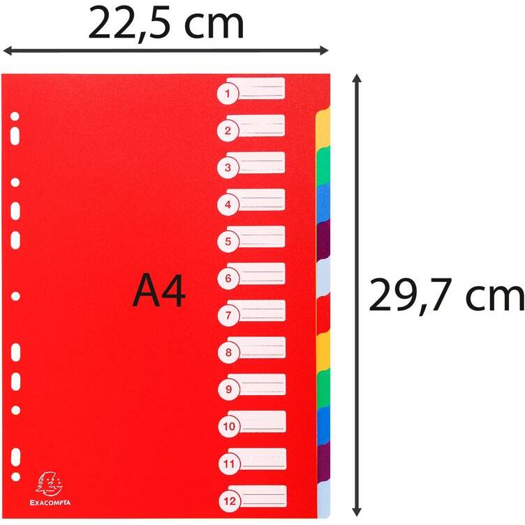 Intercalaires polypropylène opaque semi rigide 12 positions - A4 - Couleurs assorties