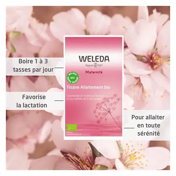 Chá de ervas para amamentação Weleda Maternity, frutos vermelhos orgânicos, 20 sachês