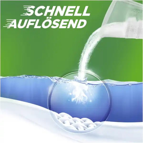 Color+ Pulver Colorwaschmittel 20WL