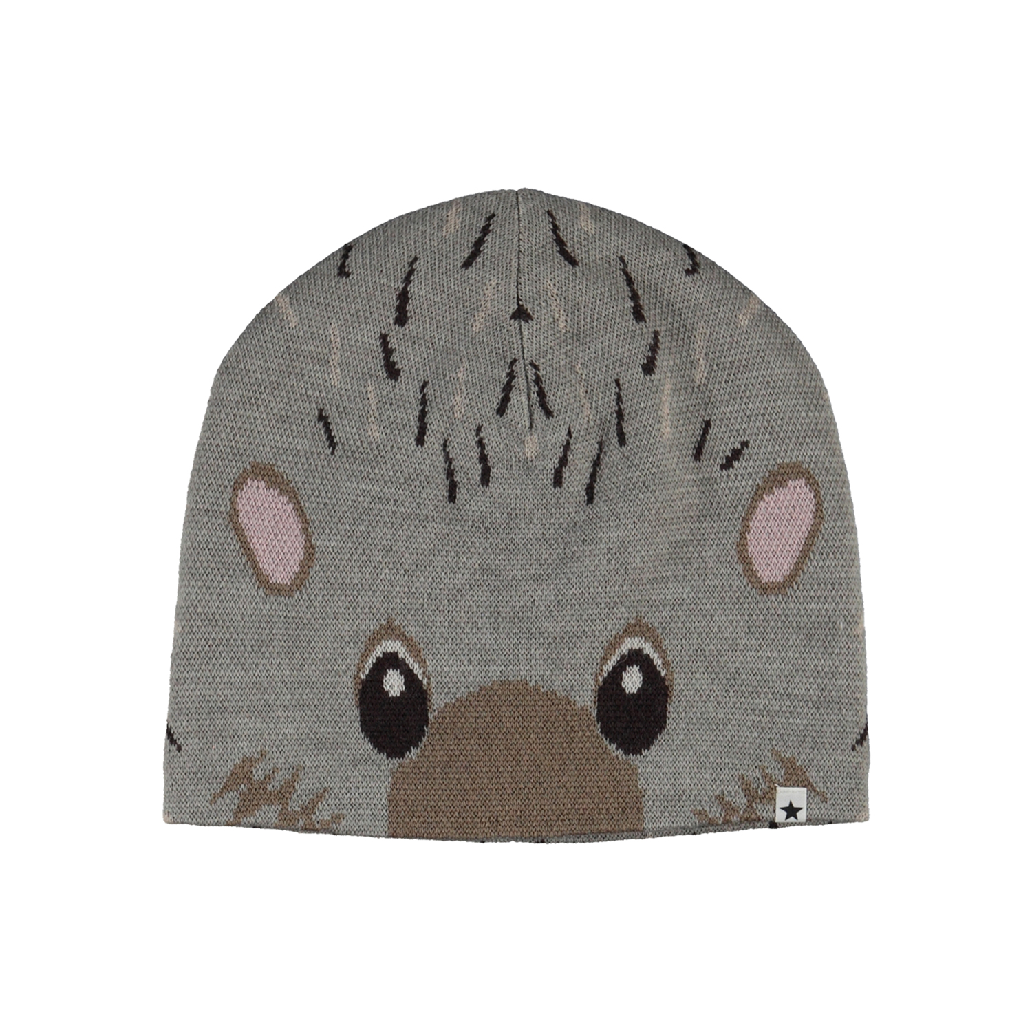 Kleo - Hedgehog