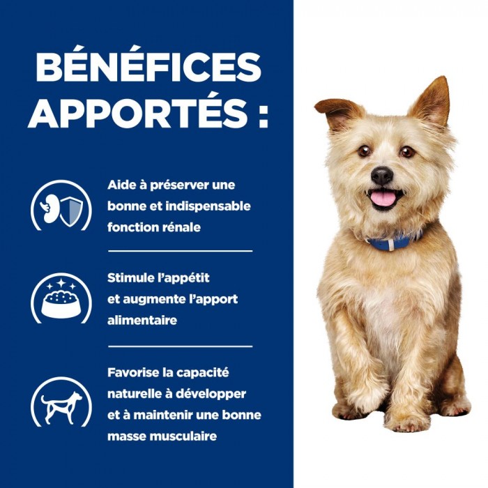 HILL'S Prescription Diet k/d Kidney Care - Croquettes pour chien