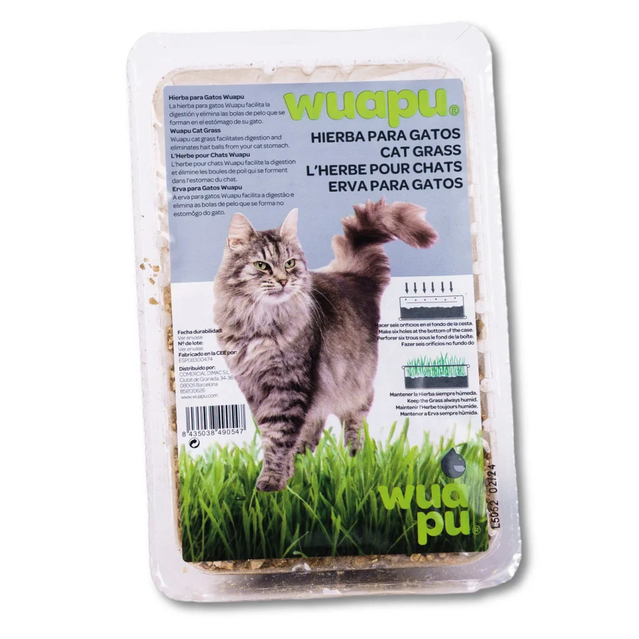 WUAPU CATWOOD