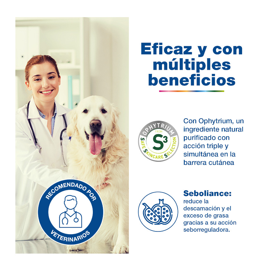 Pipetas Ceva Douxo Seb Pet