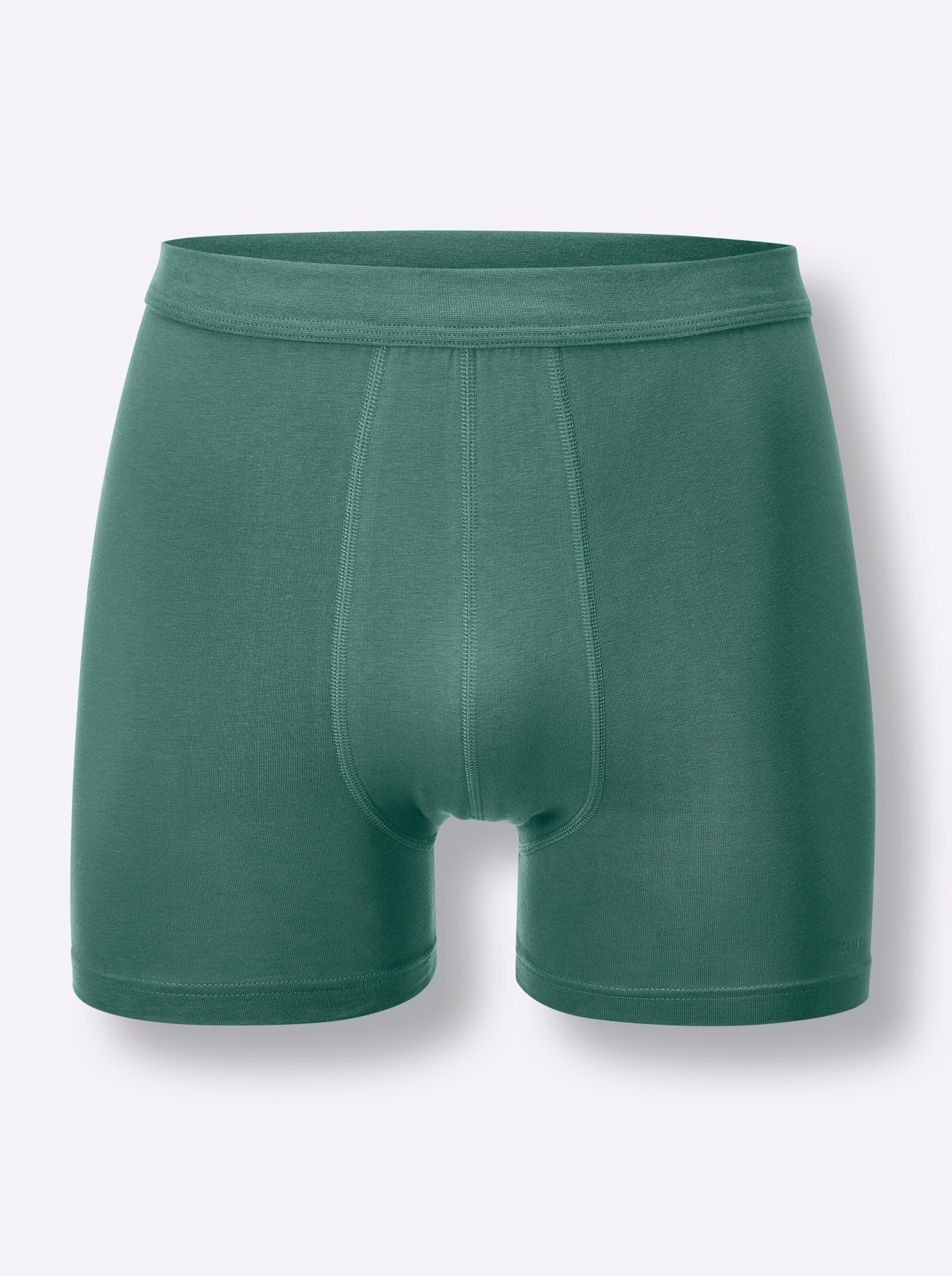 Comte Pants in salbei
