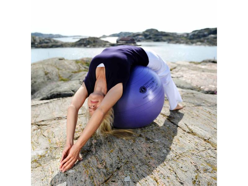 SISSEL Securemax Ball Ø 65 cm violett Gymnastik- und Sitzball