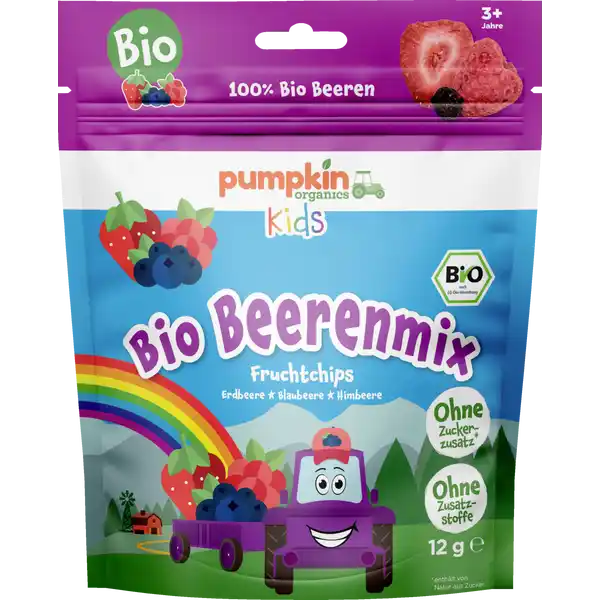Bio Beerenmix Fruchtchips