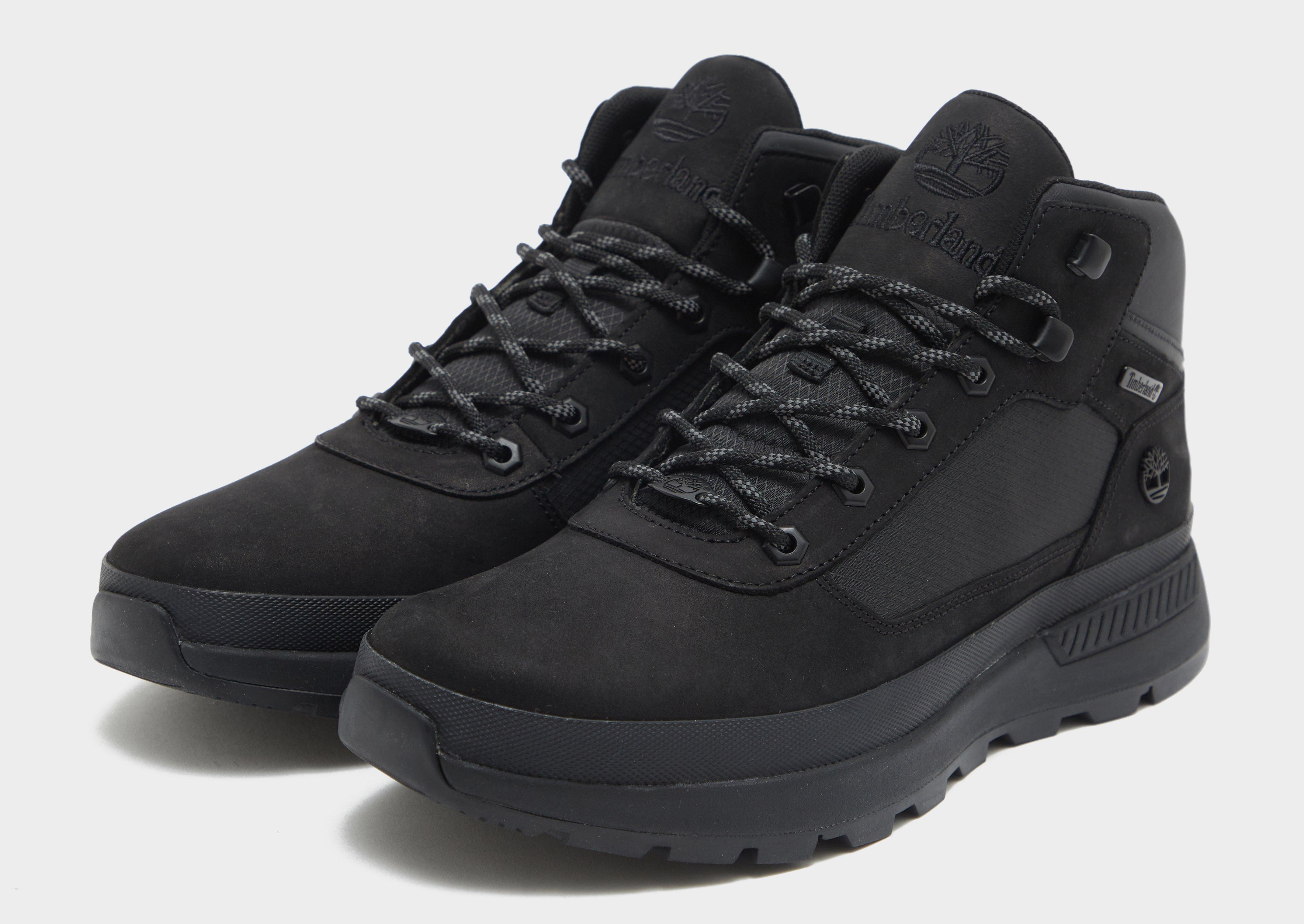 Timberland Field Trekker Homme