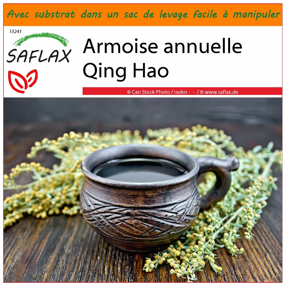 Jardin dans le sac - armoise annuelle qing hao - 250 graines - artemisia annua