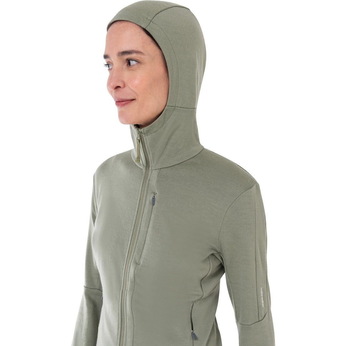 Icebreaker Merino 260 Quantum IV Zip Hoodie Damen lichen