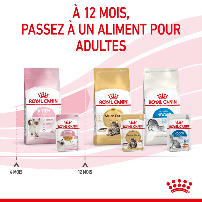 Bouchées Royal Canin Kitten pour chaton de 4 à 12 mois