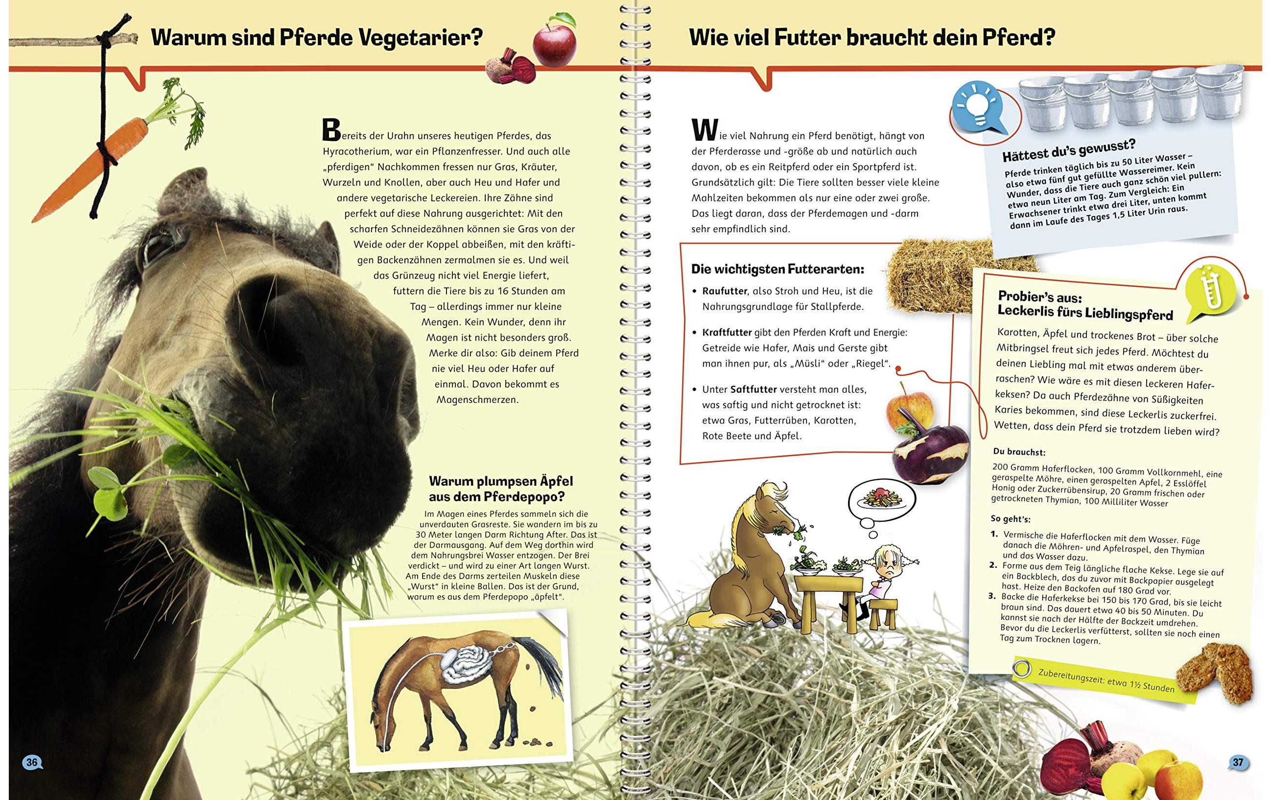 Kinder-Sachbuch WWW ProfiWissen 4: PferdeKinder-Sachbuch