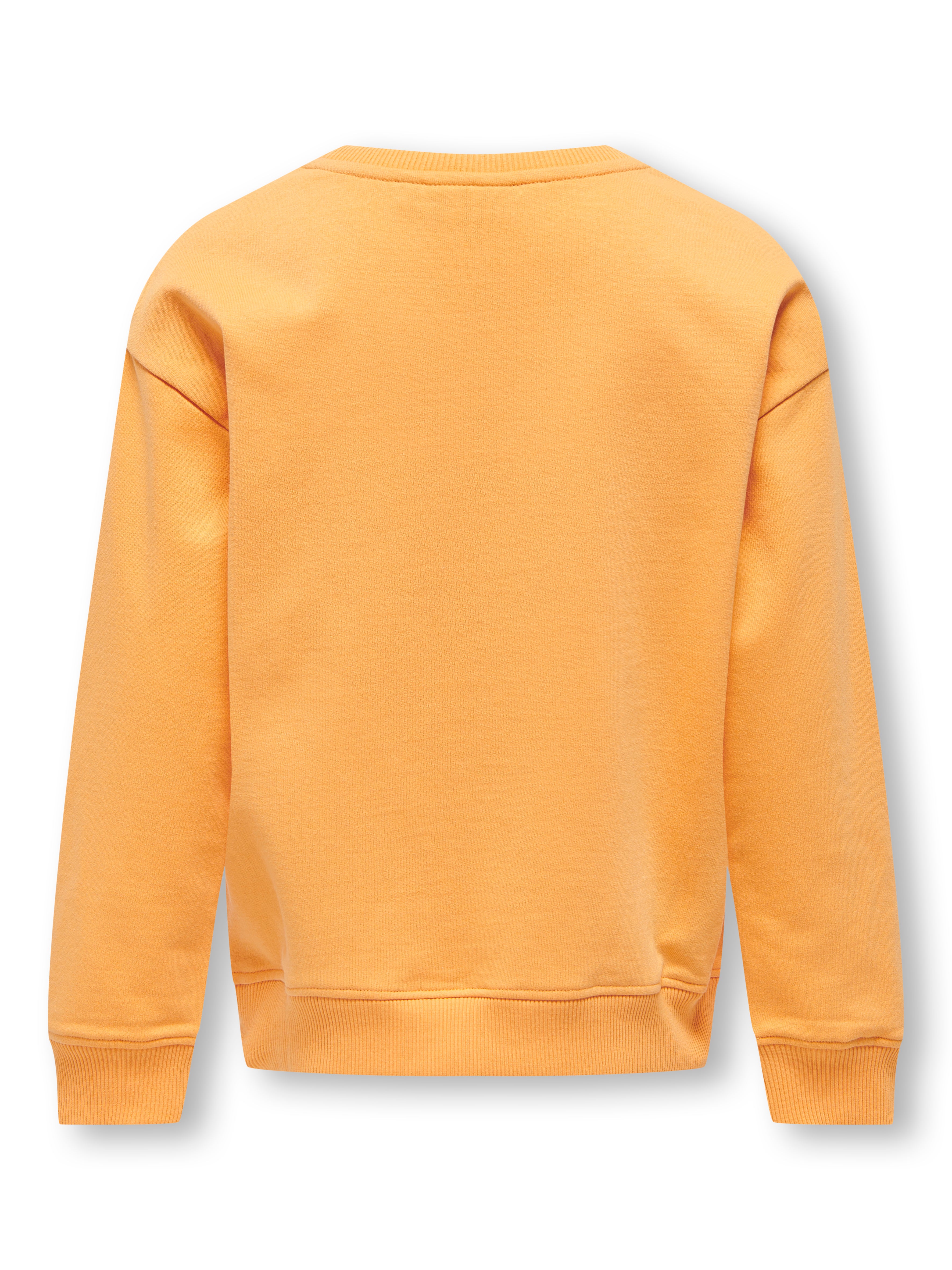 KOGANNA Sweatshirt Chamois