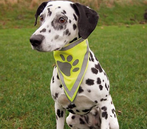 Trixie Hunde-Halstuch Safer Life