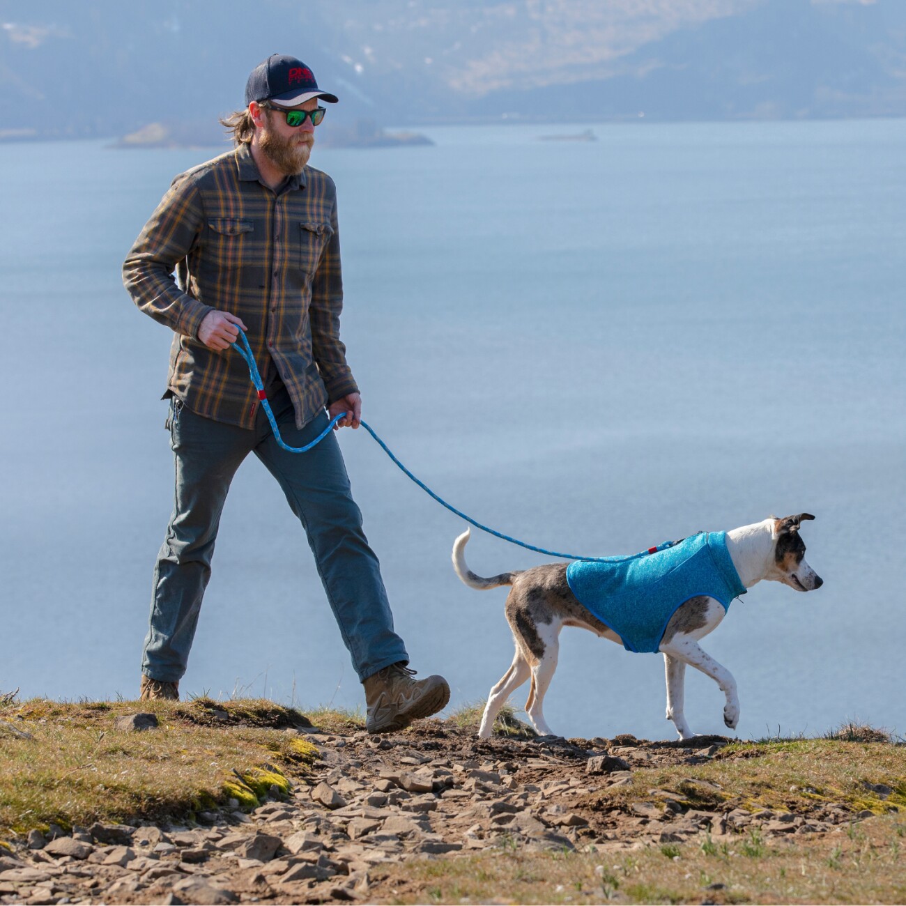 Kurgo Core Hundepullover