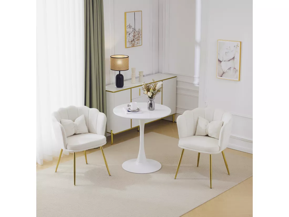 Haobosic - Set de 2 Chaises Modernes en Velours avec Dossier en Forme de Pétale, Pieds en Métal Doré, Coussins Confortables pour Salon