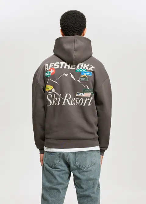 Hoodie met print ski resort bruin (BRN.CL)