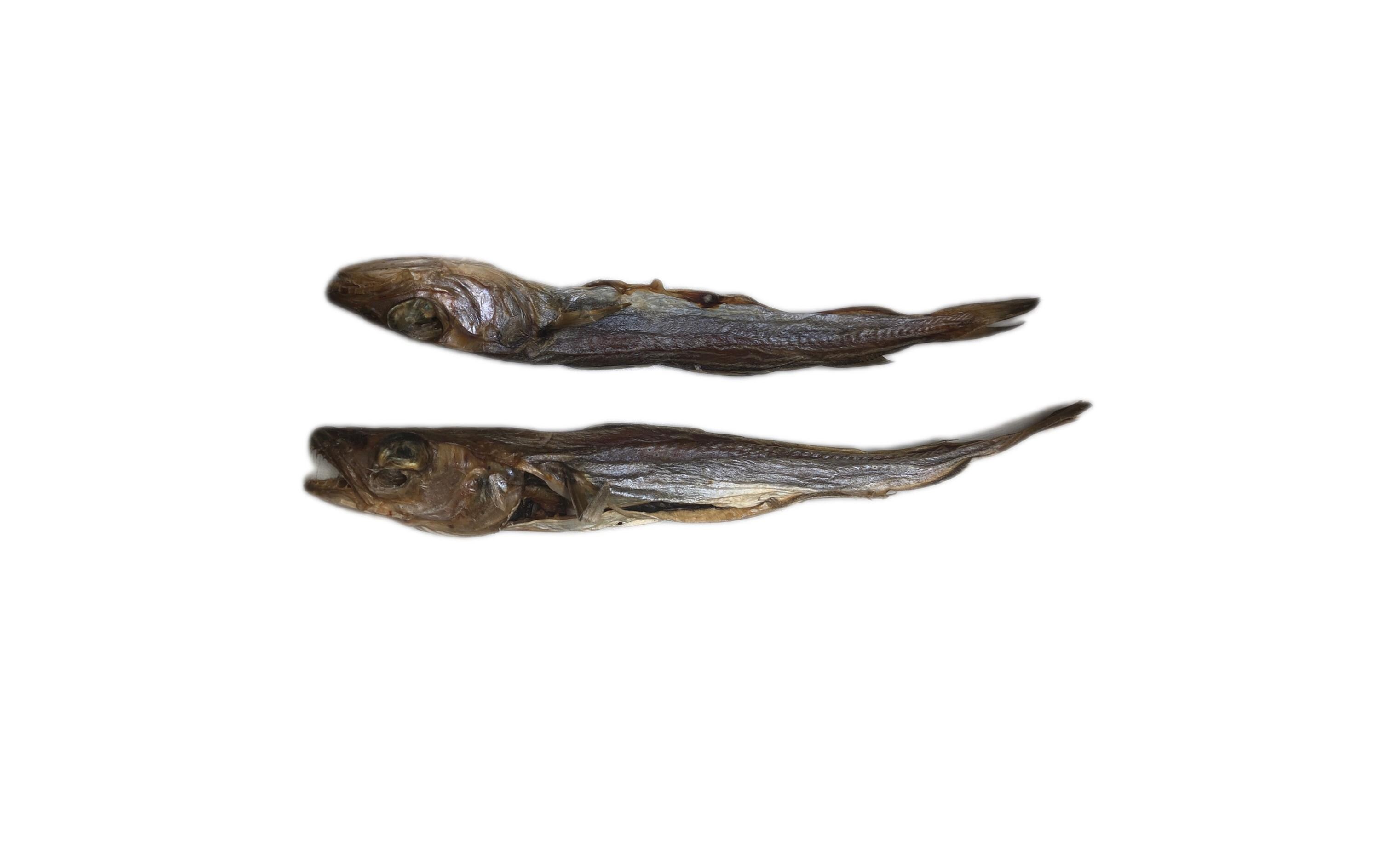 Blue Whitting, 200 gKausnack