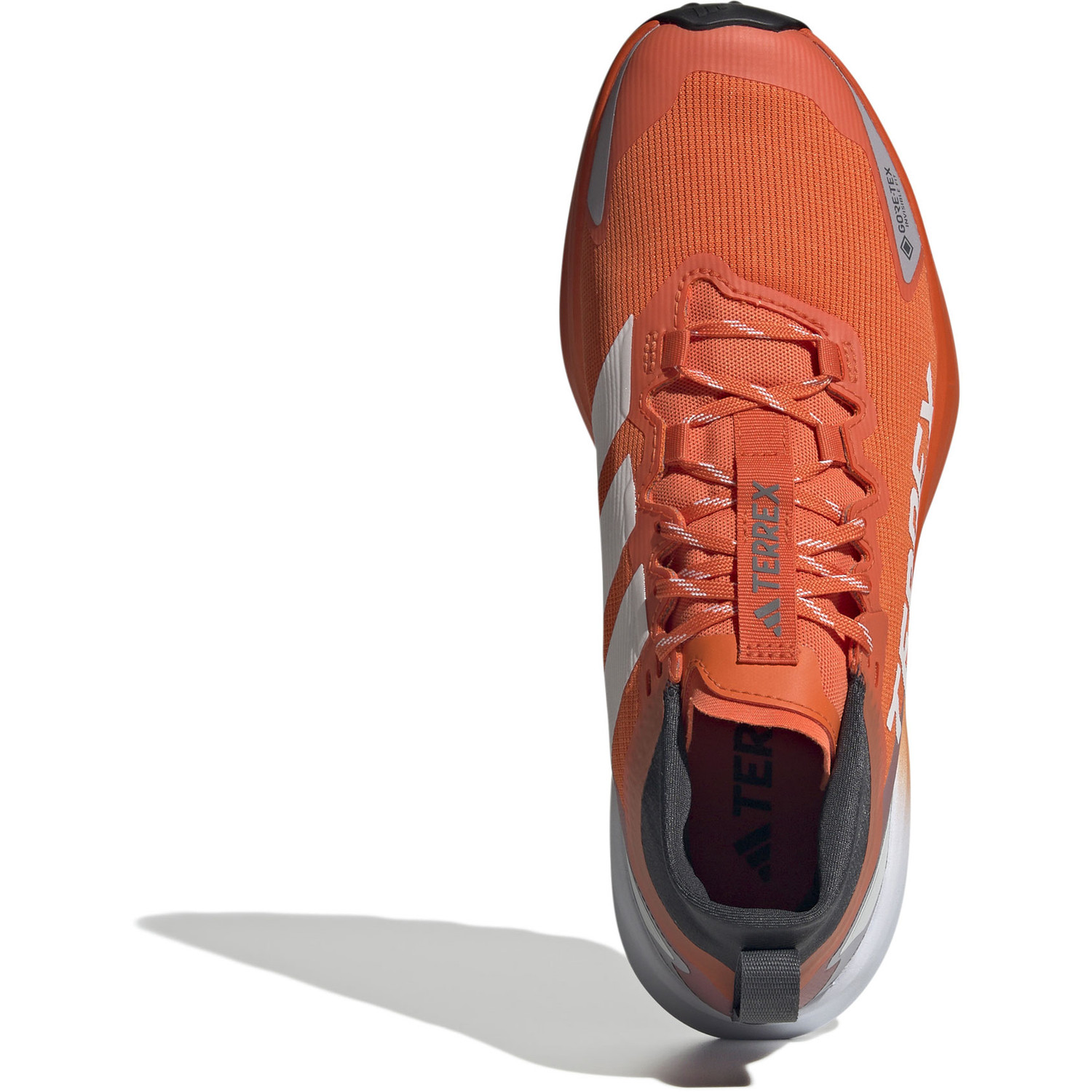 adidas Terrex Agravic GTX Heren